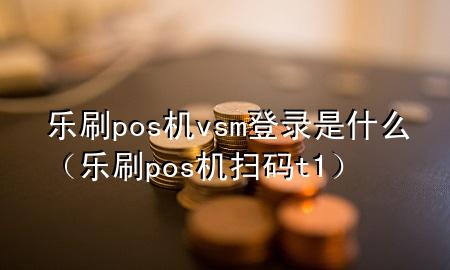 乐刷pos机vsm登录是什么（乐刷pos机扫码t+1）