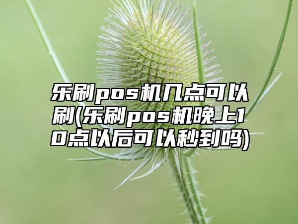 乐刷pos机几点可以刷(乐刷pos机晚上10点以后可以秒到吗)